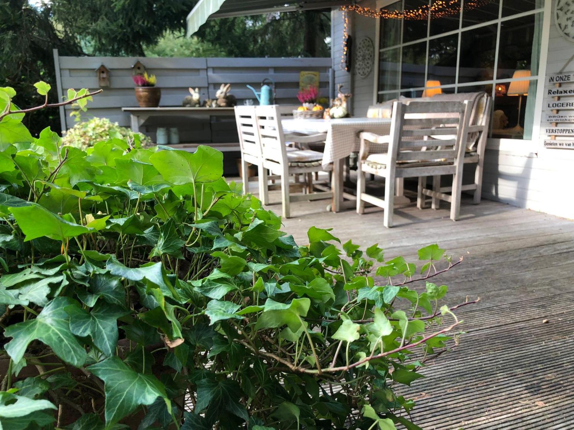 Chalet Relax 祖滕达尔 外观 照片